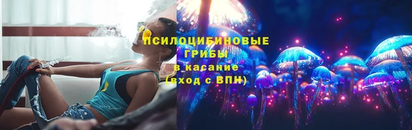соль ск Белокуриха