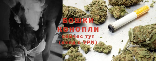 соль ск Белокуриха