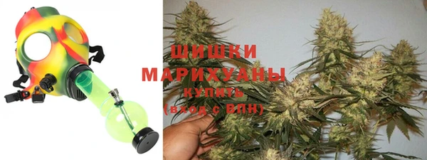 соль ск Белокуриха